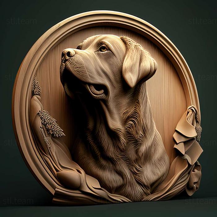 3D model Pel dog famous animal (STL)